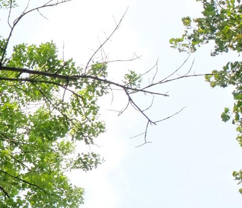 a walk through climate change 5 7 16