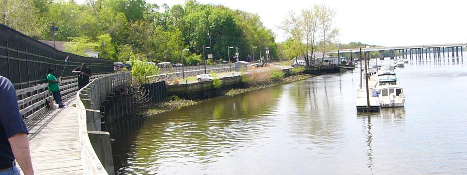 bordentown marsh 2