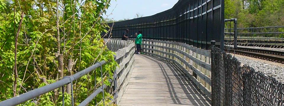 bordentown marsh1