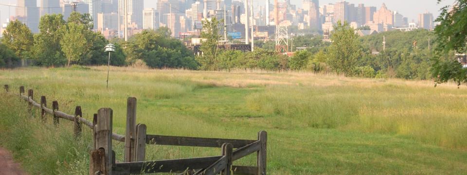 Meadow at Bartram's Garden