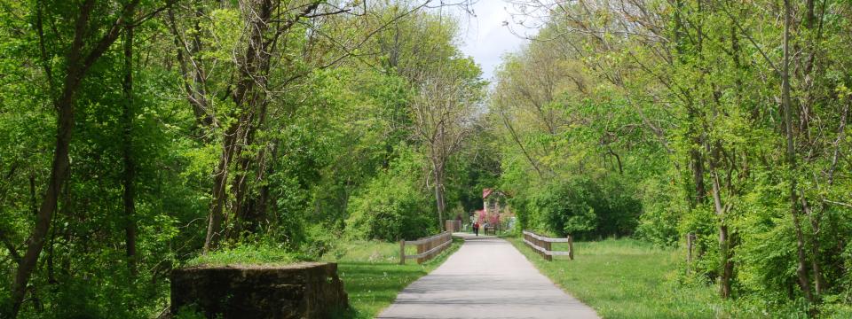 dsc 0403