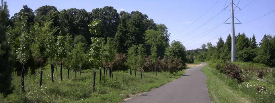 Horsham powerline trail