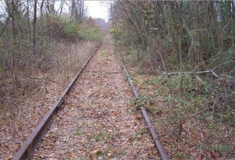 newtwon trail 2