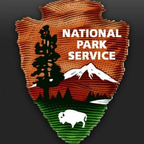 nps logo 600x600