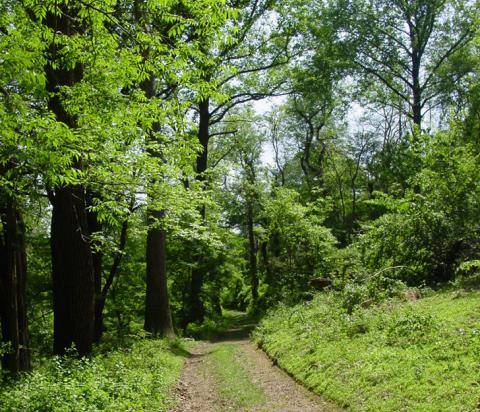 run your own adventure 3 26 16