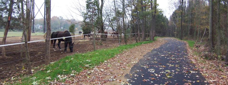 Skippack Trail