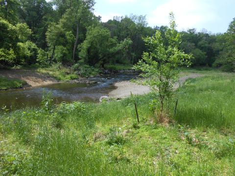 Tacony Creek Park