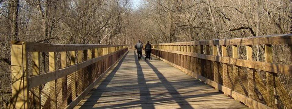wissahickon green ribbon